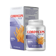 Cordyceps Pulse - средство срещу гъбички Cordyceps Pulse - средство срещу гъбички